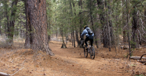 Person biking in Bend Oregon among pine trees