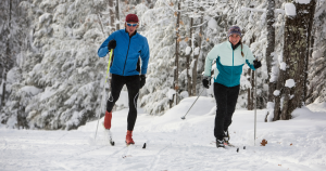 A couple cross-country skiing in a forest.